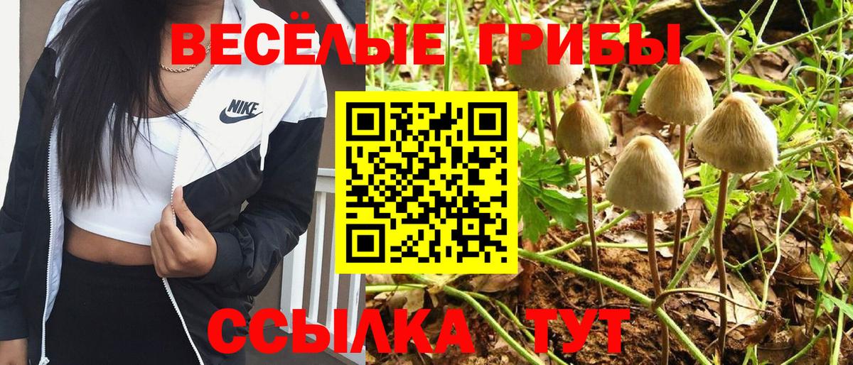 Псилоцибиновые грибы Psilocybine cubensis Татарск