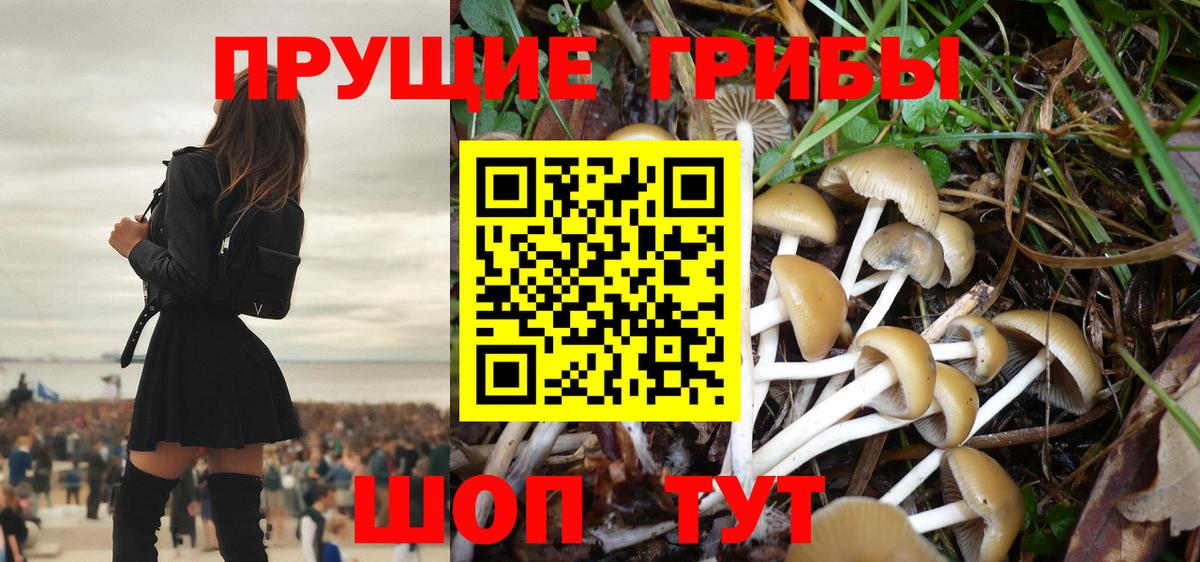 Татарск  Псилоцибиновые грибы мухоморы  Вход с VPN 